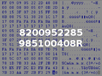 8200952285 985100408R
