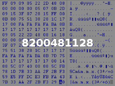 8200481128