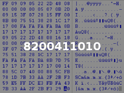8200411010