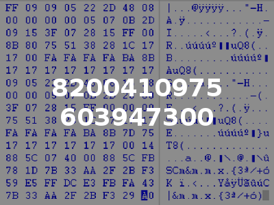8200410975 603947300