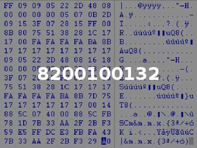 8200100132