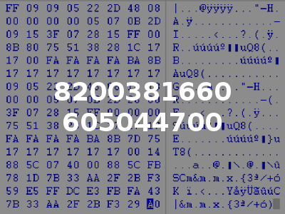 8200381660 605044700