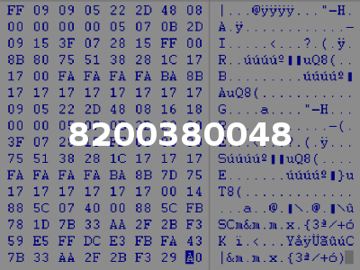 8200380048