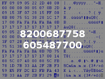 8200687758 605487700