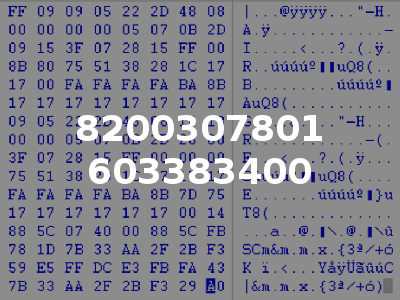 8200307801 603383400