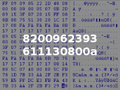 8200962393 611130800a