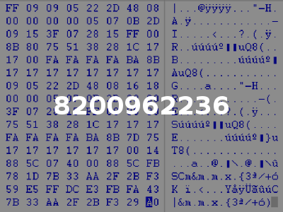 8200962236