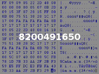 8200491650