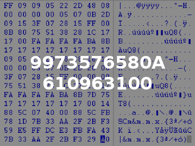 9973576580A 610963100