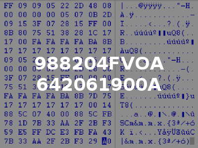 988204FVOA 642061900A