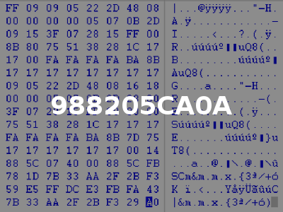 988205CA0A