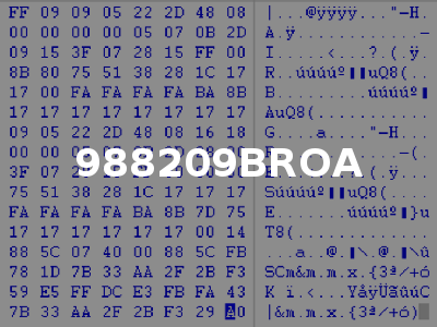 988209BROA