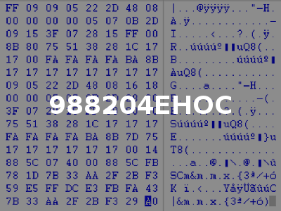 988204EHOC
