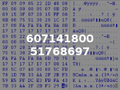 607141800 51768697