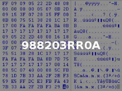 988203RR0A