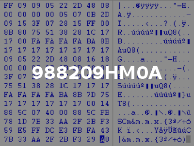 988209HM0A