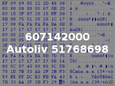 607142000 Autoliv 51768698