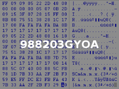 988203GYOA