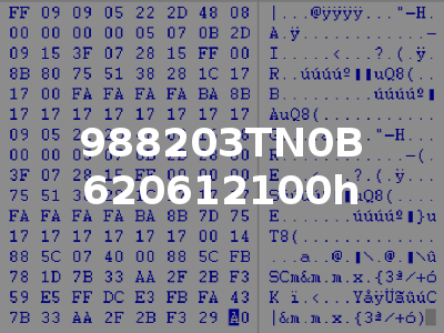 988203TN0B 620612100h