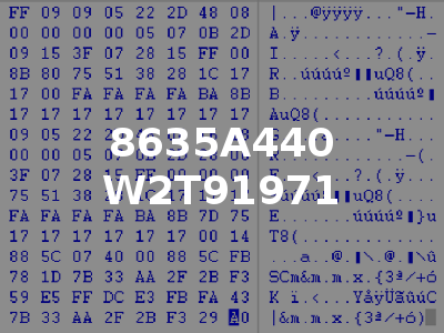 8635A440 W2T91971