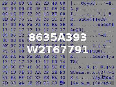 8635A393 W2T67791