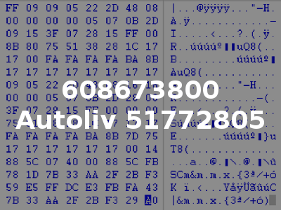 608673800 Autoliv 51772805