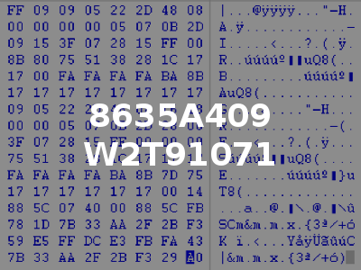 8635A409 W2T91071