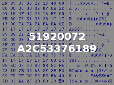 51920072 A2C53376189