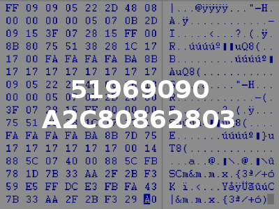 51969090 A2C80862803
