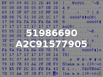51986690 A2C91577905