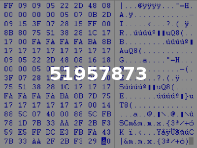51957873