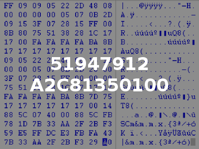 51947912 A2C81350100