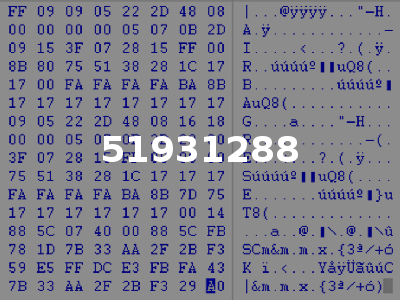 51931288