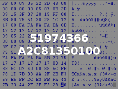 51974366 A2C81350100