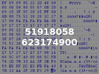 51918058 623174900