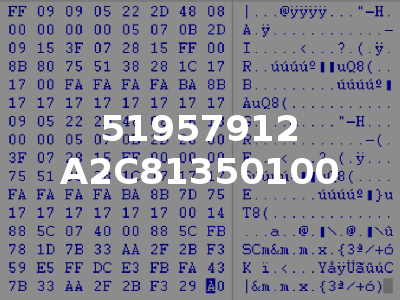 51957912 A2C81350100
