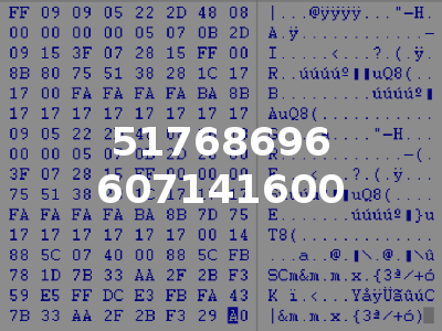51768696 607141600
