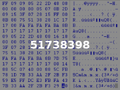 51738398