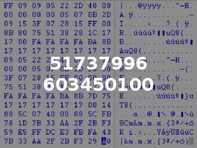 51737996 603450100
