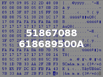 51867088 618689500A