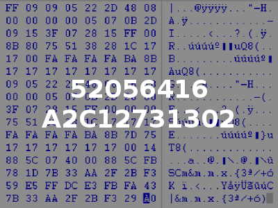 52056416 A2C12731302