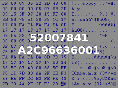 52007841 A2C96636001