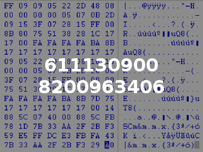 611130900 8200963406