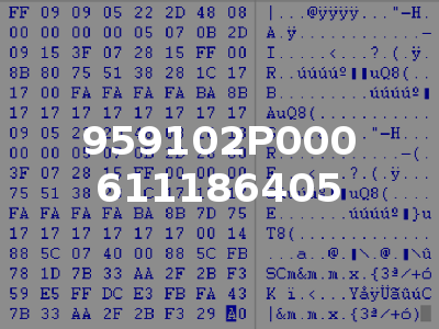 959102P000 611186405