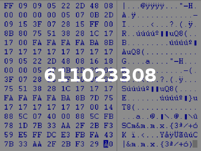611023308