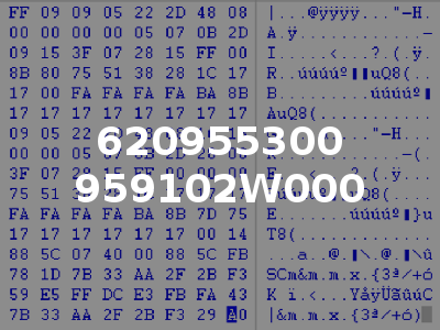 620955300 959102W000