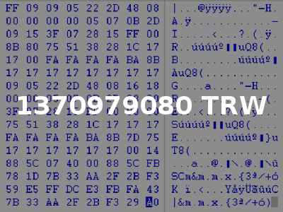 1370979080 TRW