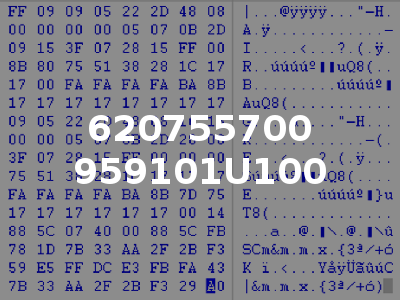 620755700 959101U100