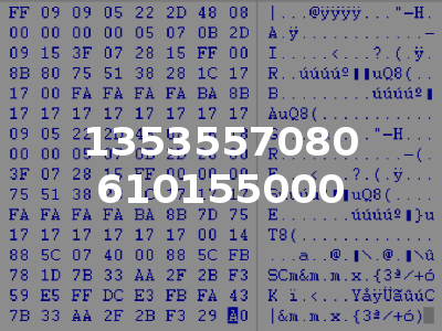 1353557080 610155000