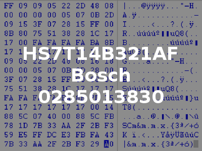 HS7T14B321AF Bosch 0285013830